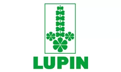 Lupin
