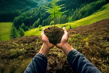 Towards a balanced and resilient future